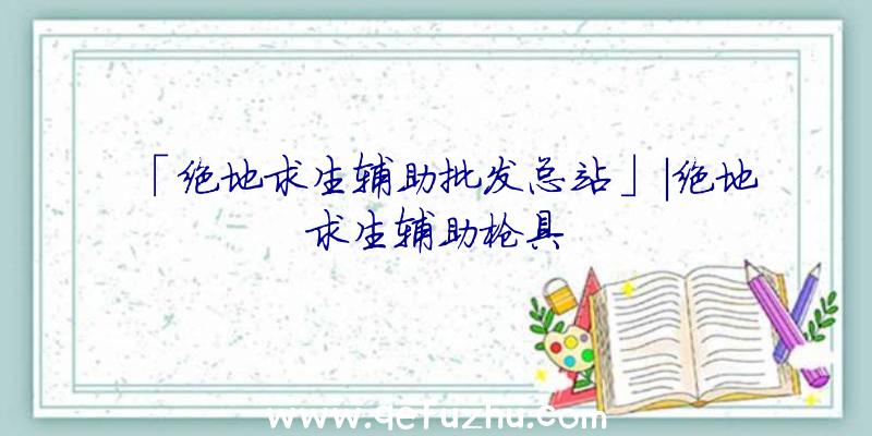 「绝地求生辅助批发总站」|绝地求生辅助枪具